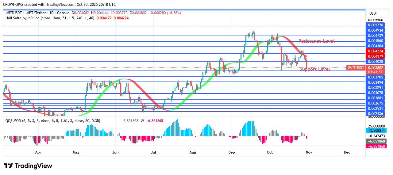 IMPTUSDT Price Is Increasing as Investors Increase