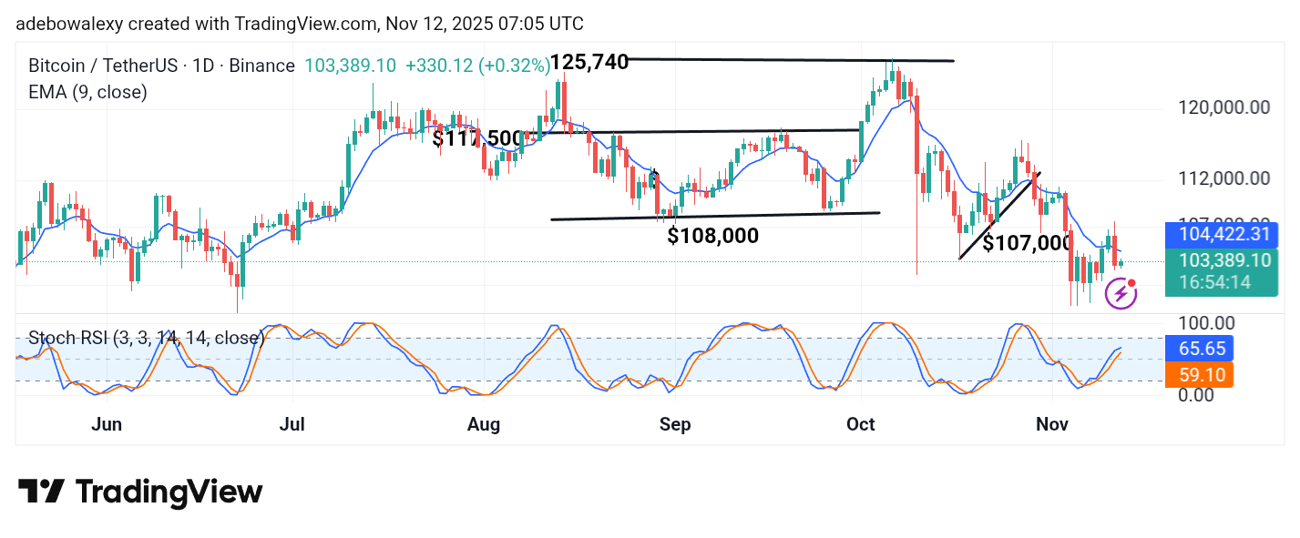 Bitcoin (BTC) Price Prediction: BTC/USDT Retains Vulnerability