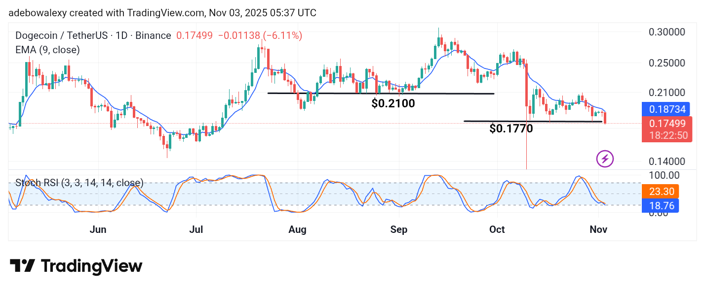 Dogecoin (DOGE) Price Prediction: DOGE/USDT Bears Breach a Month-Old Support Level
