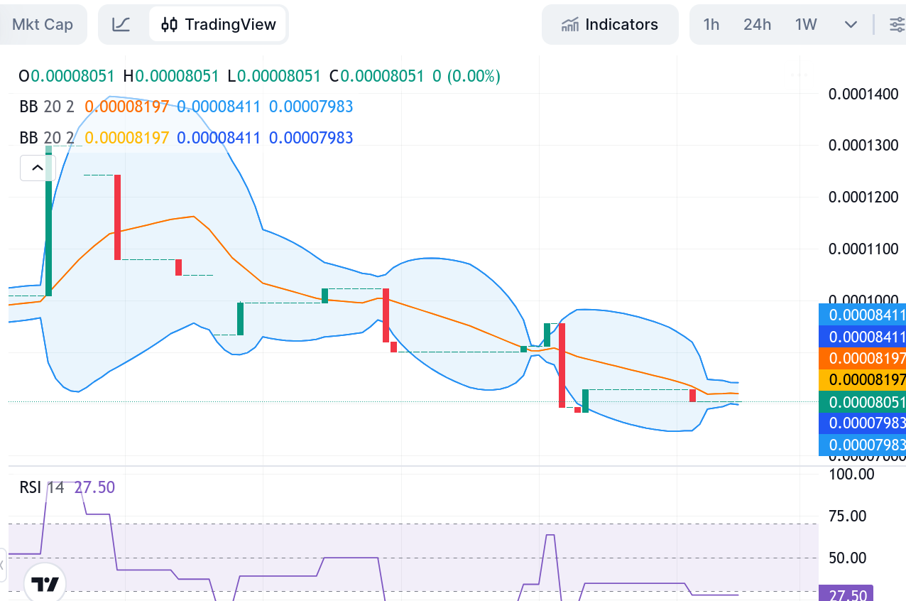 Tamadoge (TAMA/USD) Market Update: Buyers Continue to Protect the $0.00008 Support Zone