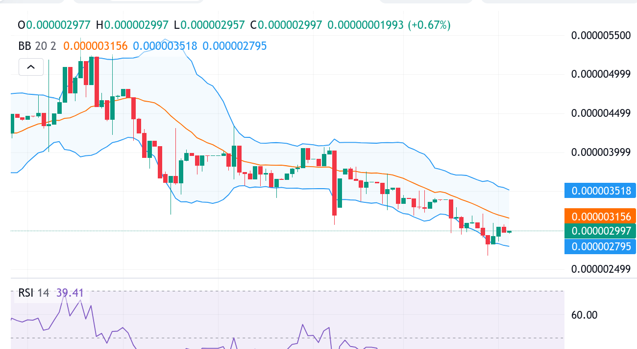 $SPONGE Bulls Trying to Retain Hold Around the $0.000003 Price Area