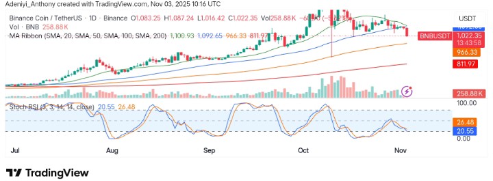 BNB (BNB/USDT) Faces Significant Pullback Amid Broader Market Weakness