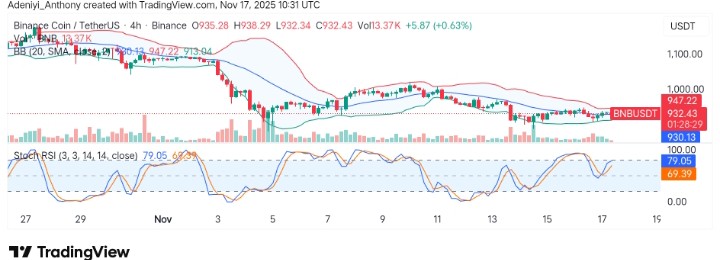 BNB (BNB/USDT) Shows Signs of Bearish Consolidation Below Key Resistance