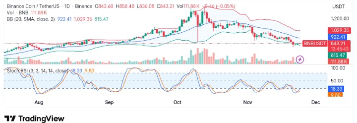 BNB (BNB/USDT) Experiences Increased Volatility with a Recent Downturn
