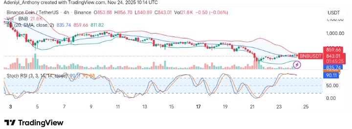 BNB (BNB/USDT) Experiences Increased Volatility with a Recent Downturn