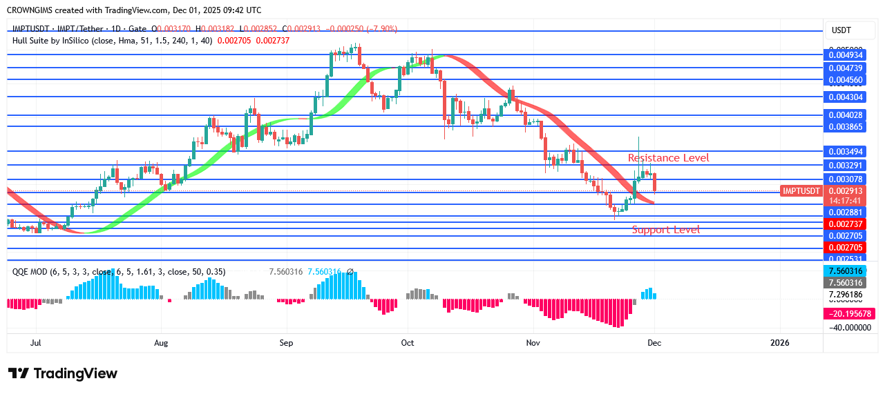 IMPTUSDT Price Is Increasing