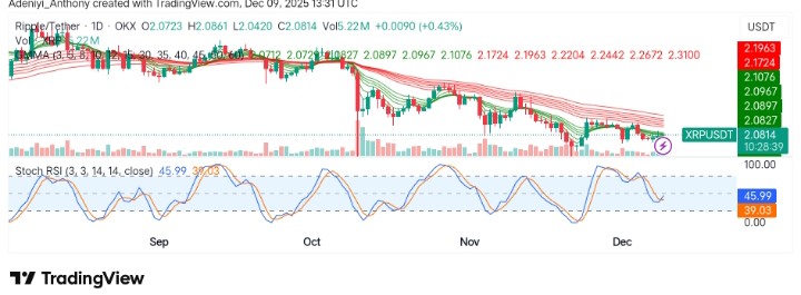 XRP (XRP/USDT) Pushes for Recovery Amid Strong Market Volatility