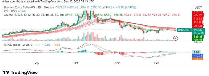 BNB (BNB/USDT) Faces Resistance as It Struggles to Break Key Levels