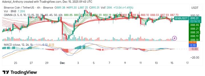 BNB (BNB/USDT) Faces Resistance as It Struggles to Break Key Levels
