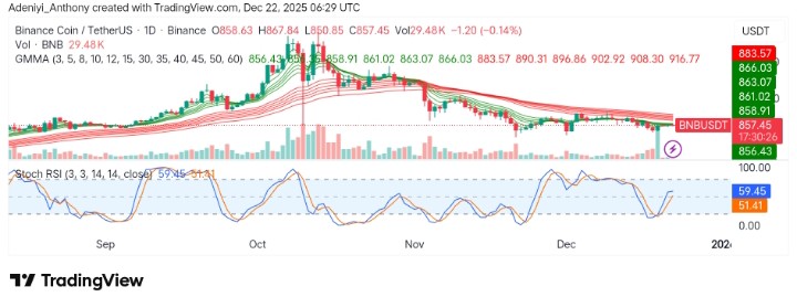 BNB (BNB/USDT) Poised for Recovery Above Resistance After Recent Pullback