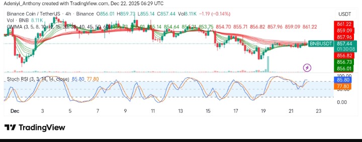 BNB (BNB/USDT) Poised for Recovery Above Resistance After Recent Pullback