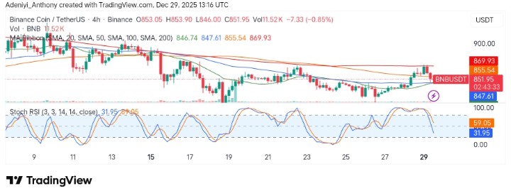 BNB (BNB/USDT) Consolidates Amidst Signs of Potential Reversal