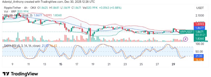 XRP (XRP/USDT) Shows Consolidation Near Support, Preparing for a Breakout or Breakdown?