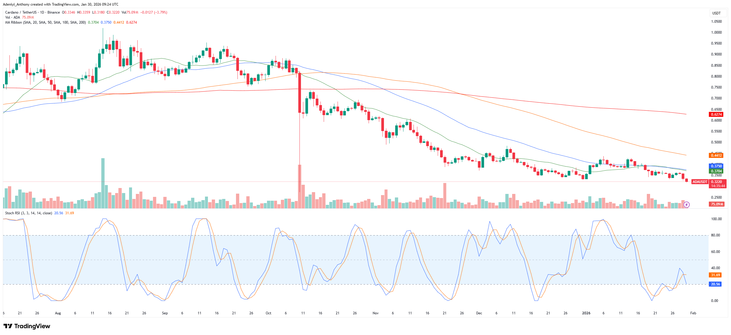 Cardano Price Faces Critical Pivot as Bearish Pressure Mounts