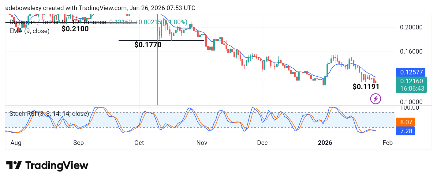 Dogecoin (DOGE) Price Prediction: DOGE/USDT Bounces Off the $0.1191 Threshold