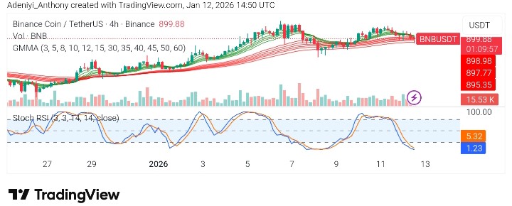 BNB (BNB/USDT) Clings to the $900 Psychological Zone; What's Next?