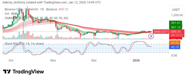 BNB (BNB/USDT) Clings to the $900 Psychological Zone; What's Next?