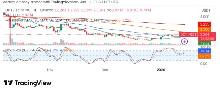 Polkadot (DOT/USDT) Attempting a Base Formation as Sellers Lost Momentum Near Multi-Month Lows