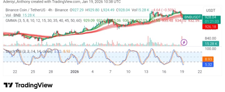 BNB (BNB/USDT) Stabilizes Near $925, Compressing; What’s Next? - BNB price prediction