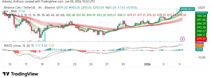 BNB (BNB/USDT) Displays Recovery Signs Amid Market Consolidation