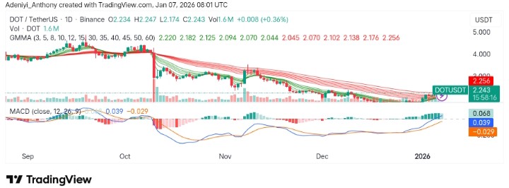 Polkadot (DOT/USDT) Displays Pullback Potential After a Week-Long Rally