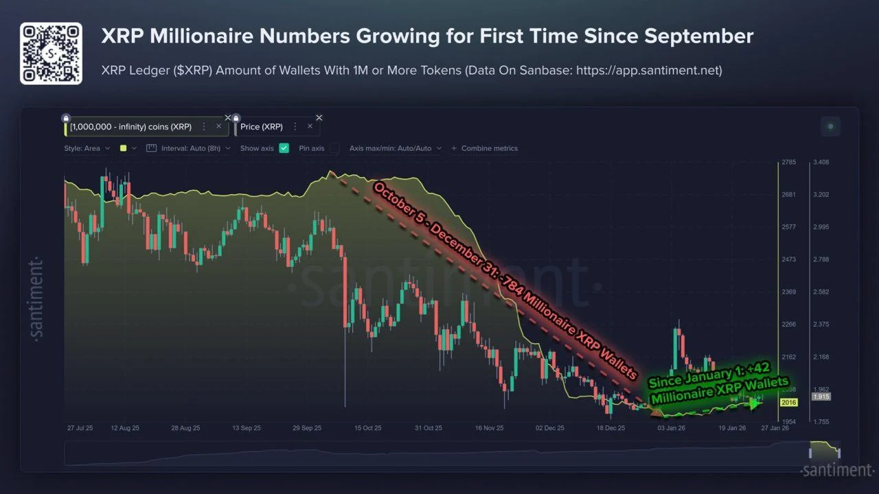 XRP Millionaire Wallet Growth Suggests Quiet Whale Accumulation