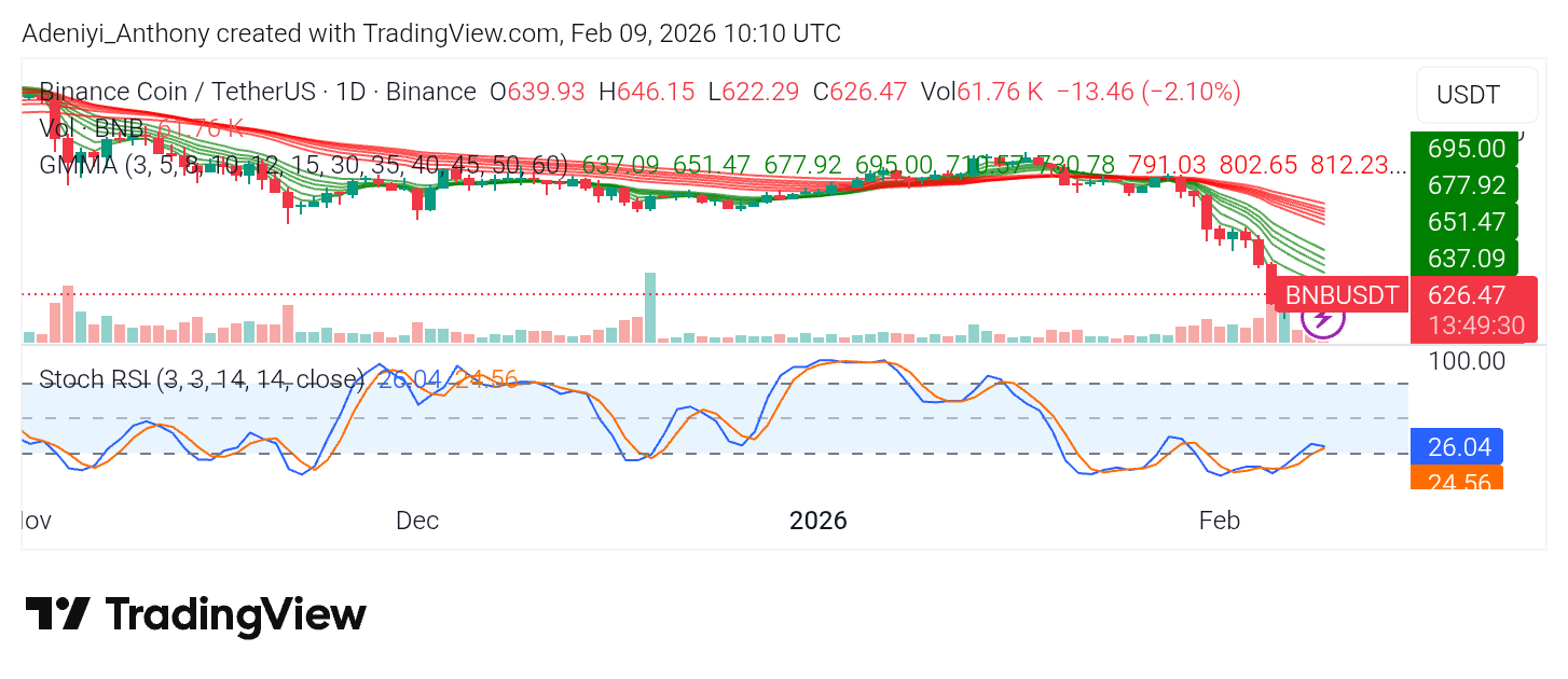 BNB Price Feels the Altcoin Chill Amid Macro-Trend Breakdown