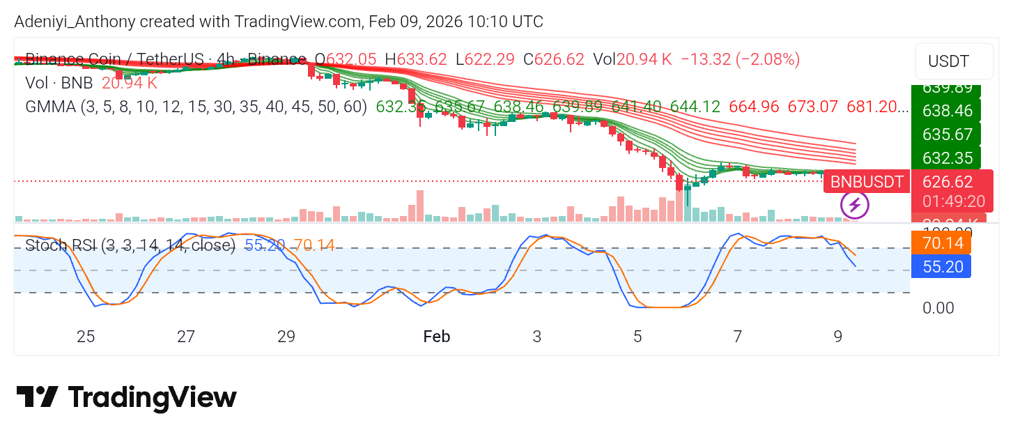 BNB Price Feels the Altcoin Chill Amid Macro-Trend Breakdown
