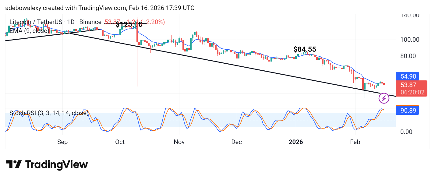 Litecoin (LTC) Price Prediction: LTC/USDT Stays Above the $50 Base