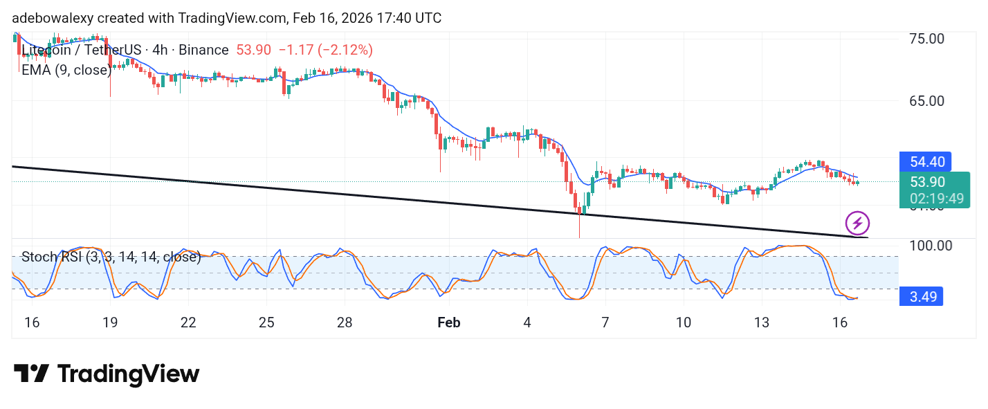 Litecoin (LTC) Price Prediction: LTC/USDT Stays Above the $50 Base