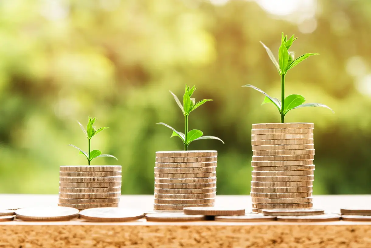 Investment Growth