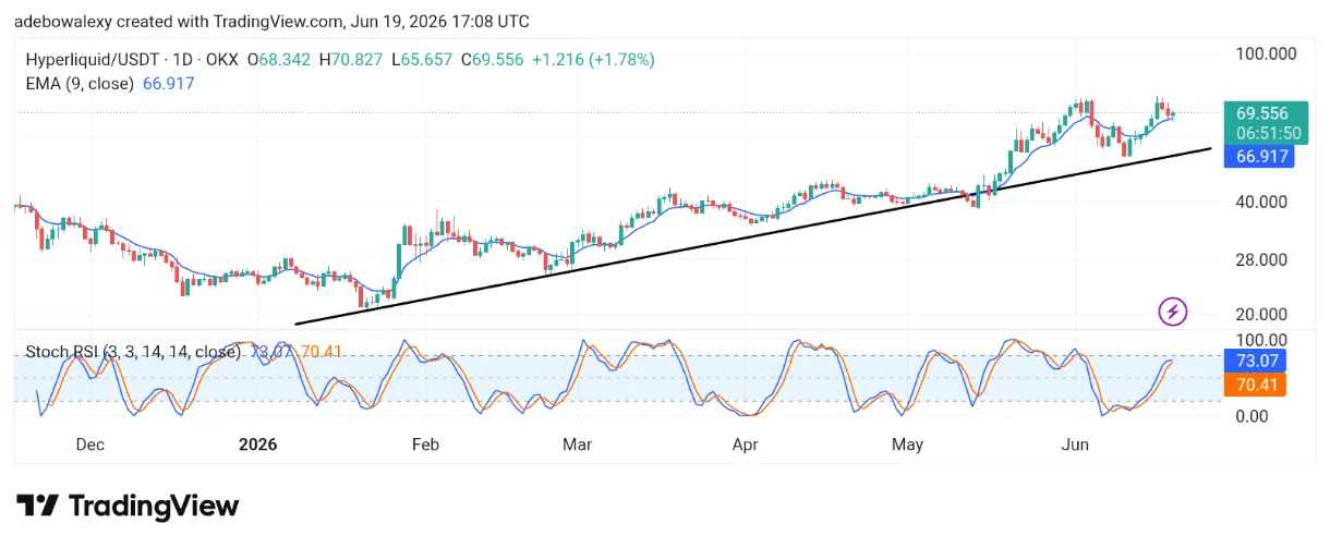 HYPEUSDT chart
