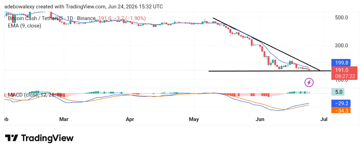 Bitcoin Cash Price Chart