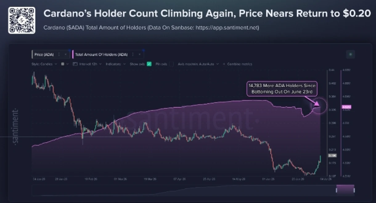 Cardano Holder Count Surges as ADA Price Rebounds — Bullish Signal?