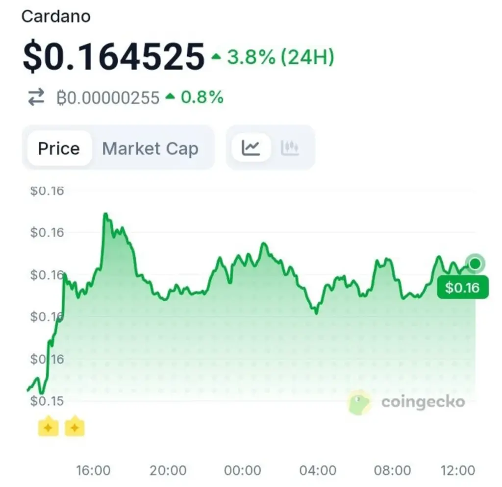 While Retail Sells, Cardano Whales Keep Buying—Here's Why It Matters
