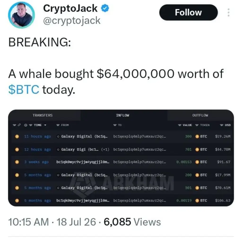 While Others Waited, One Whale Quietly Bought $64 Million in BTC