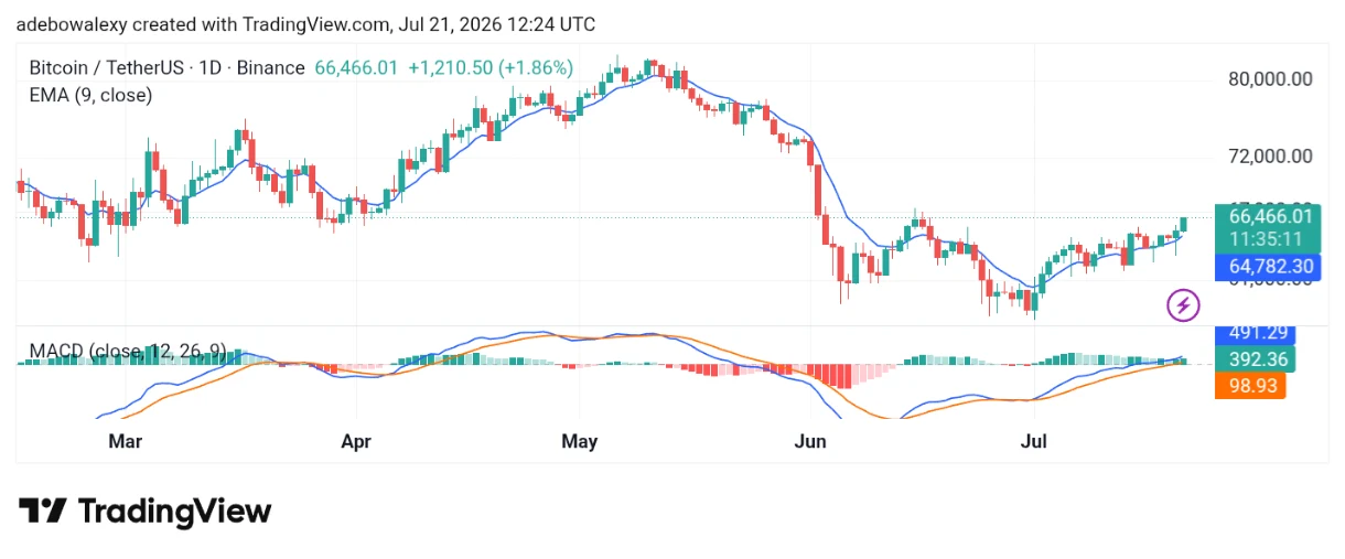 Bitcoin (BTC) Clears the Resistance at the $65,000 Mark