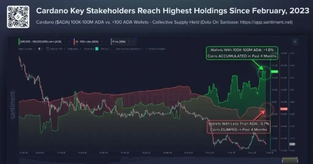 While Retail Sells, Cardano Whales Keep Buying—Here's Why It Matters