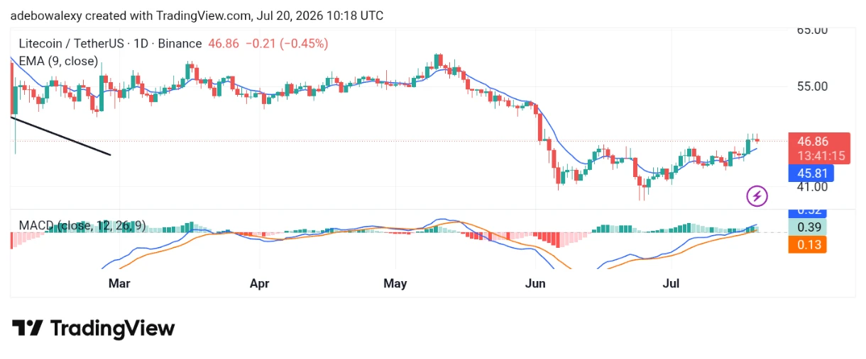 Litecoin (LTC) Traders Anticipate a Bullish Market