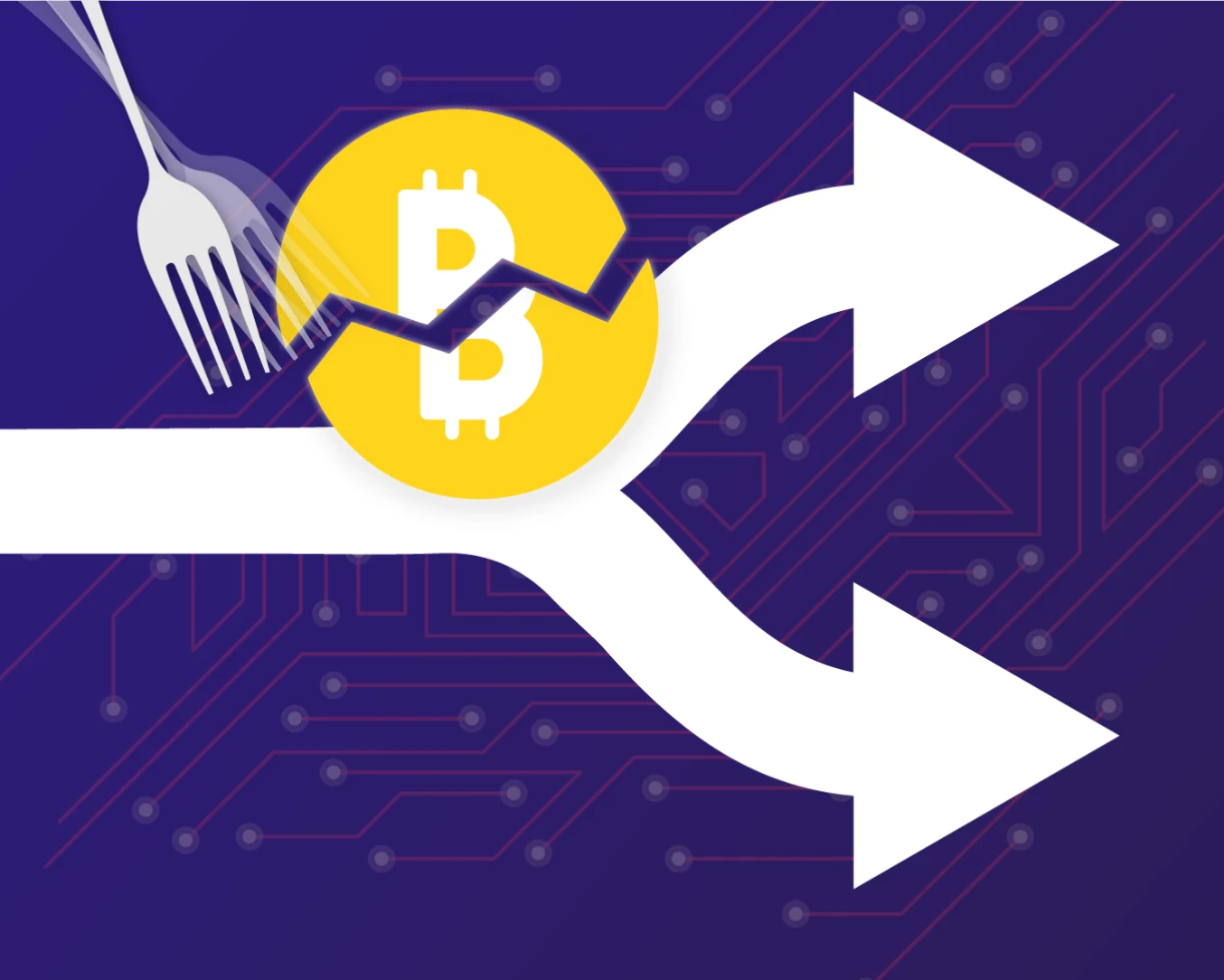 Is It an Error in Soft Fork Design or Miner Capture What Caused the Failure of BIP-110