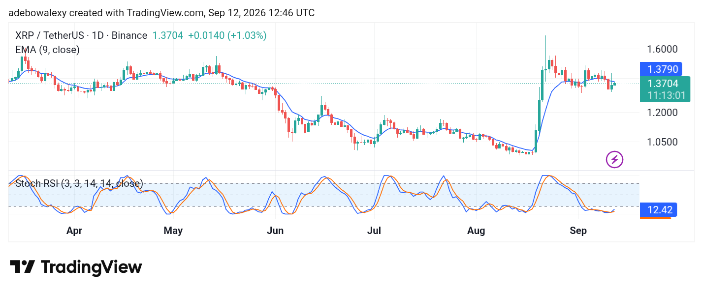 XRP Shows Massive Growth Potential