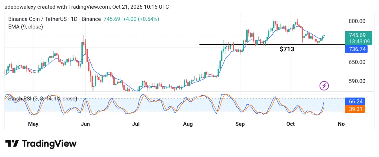 BNB Upside Forces Resume Action